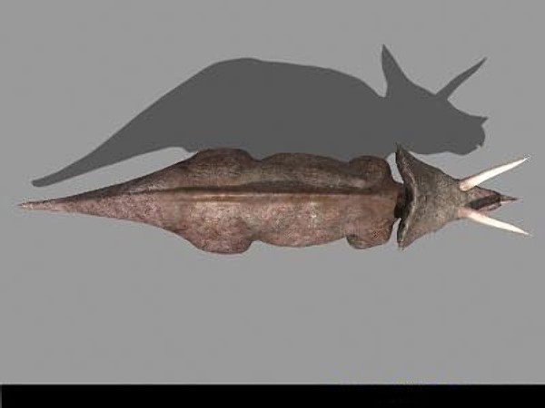 jp triceratops 3d obj - True Jp Triceratops Obj by Virtual creator
